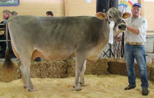 NIRVANA VIGOR-ET Reichmuth - Korner Meinrad